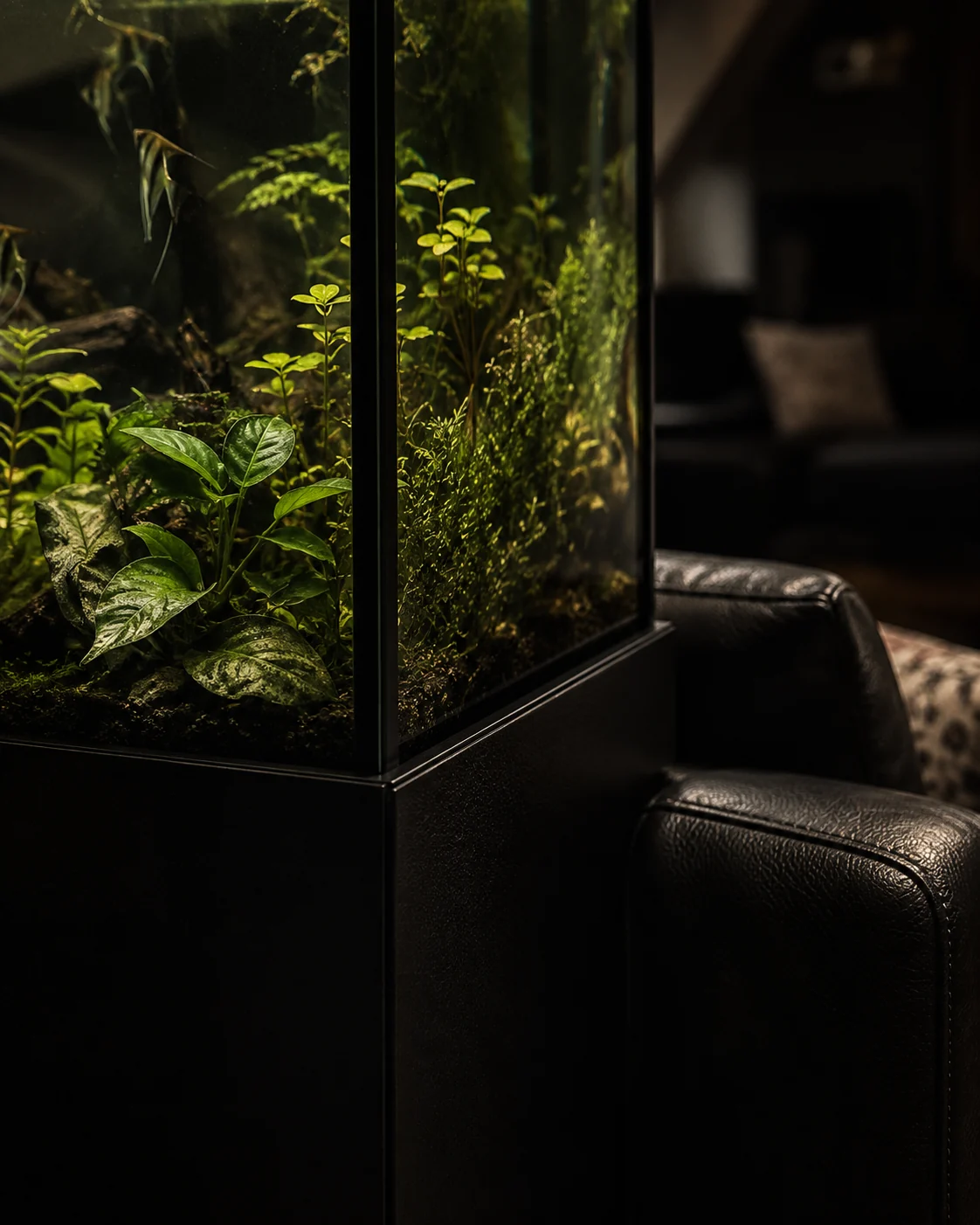 A planted glass tank glowing green beside a leather armchair in the low-lit room
